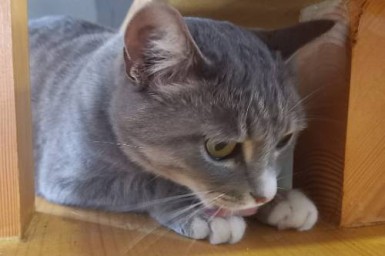 Девы сделают из мухи слона, Скорпионы будут пребывать в крайнем волнении