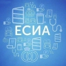 Дума приняла закон о регистрации страниц НКО в соцсетях через ЕСИА