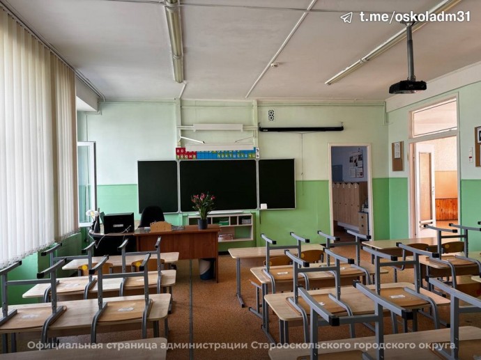 Старооскольские власти прокомментировали жалобы на крыс и тараканов в школе
