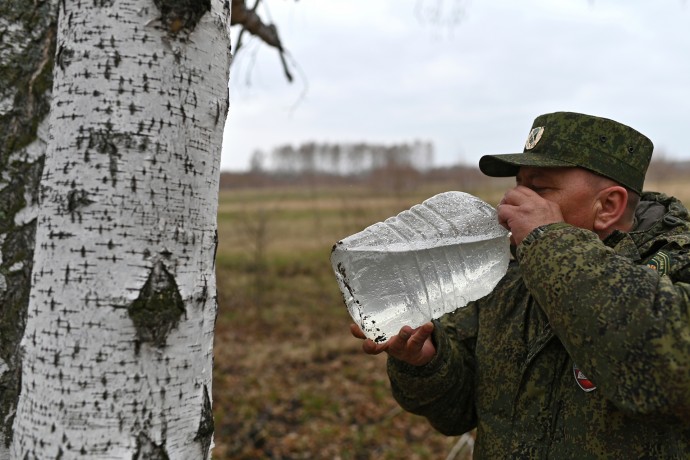 Россияне раскрыли главные причины своей любви к березовому соку