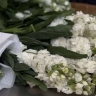 Импорт цветов из Китая в Приамурье вырос в 45 раз