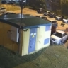 В Дзержинском районе Ярославля заметили медвежонка