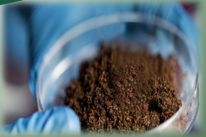 Анализ калининградских почв показал опасные концентрации тяжелых металлов Анализ калининградских почв показал опасные концентрации тяжелых металлов