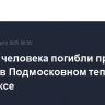 Четыре человека погибли при пожаре в Подмосковном тепличном комплексе