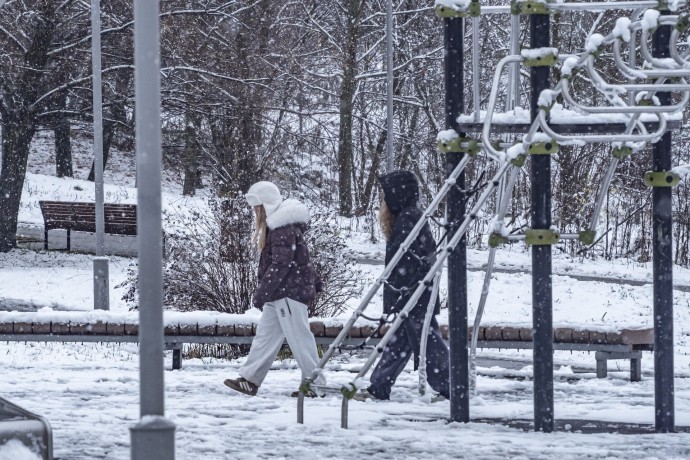 В Москве зафиксированы порывы ветра до 18 м/с и мокрый снег