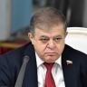 В СФ назвали необходимым шагом создание механизмов реагирования в БРИКС