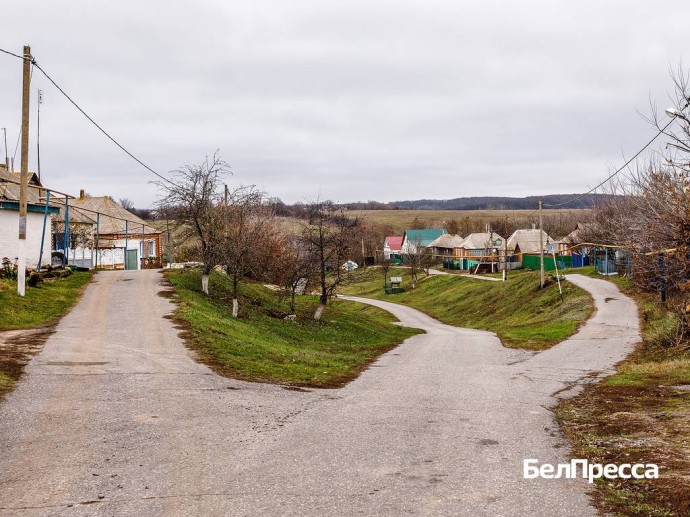 В Белгородской области не подтвердили рост тарифов на проводной интернет