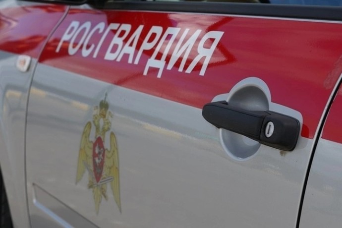 Пьяную дебоширку из Северодвинска пришлось усмирять Росгвардии Пьяную дебоширку из Северодвинска пришлось усмирять Росгвардии