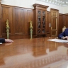 Встреча с главой компании «Норникель» Владимиром Потаниным