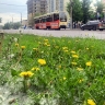 В Бурятии сохранится дождливая погода