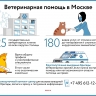 Ветеринарная помощь в Москве