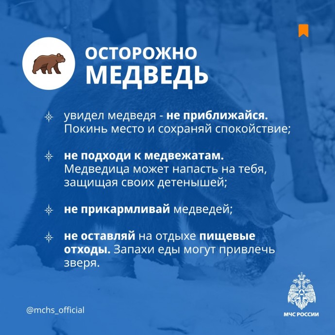 В Башкирии людей калечат медведи