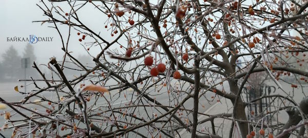 В Бурятии сохранится ветреная погода В Бурятии сохранится ветреная погода