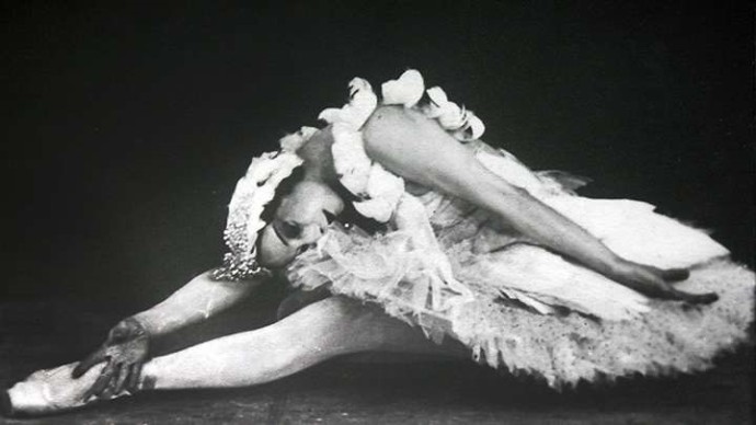 День рождения "Умирающего лебедя"