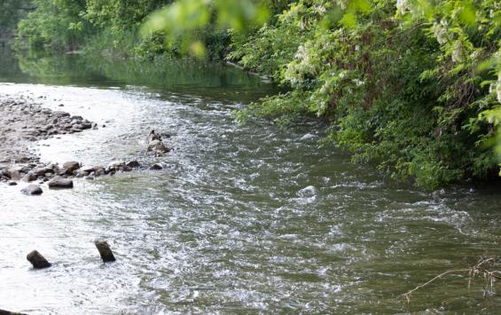 Курская область получит финансирование на реконструкцию водохранилища в Щетинке