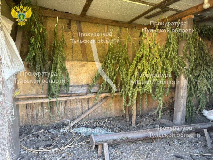 Жителя Богородицкого района будут судить за хранение крупной партии конопли Жителя Богородицкого района будут судить за хранение крупной партии конопли