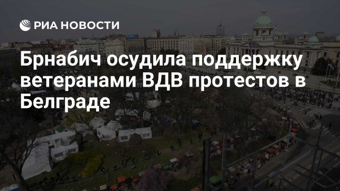 Брнабич осудила поддержку ветеранами ВДВ протестов в Белграде