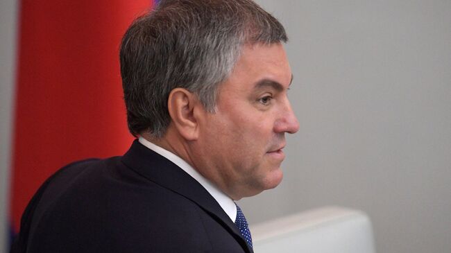 Володин рассказал о выдворении мигрантов за пределы России