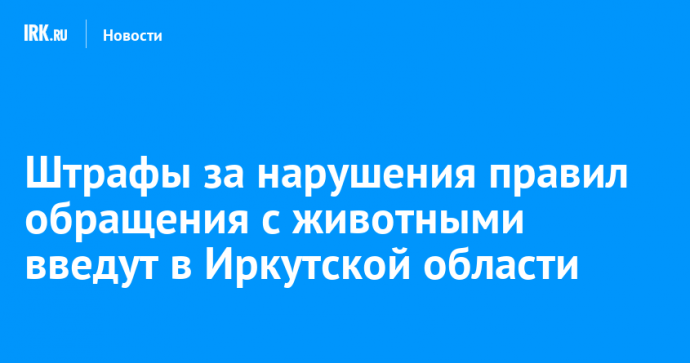 Штрафы за нарушения правил обращения с животными введут в Иркутской области
