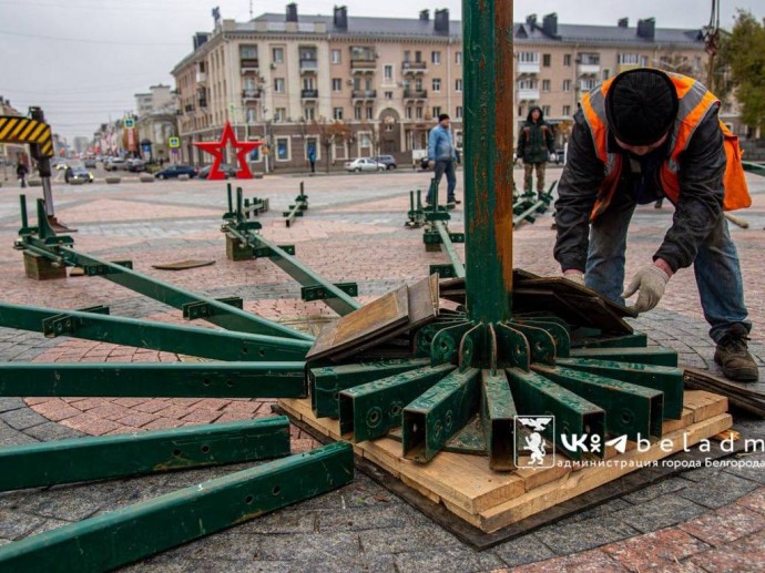 На Соборной площади Белгорода устанавливают новогоднюю ёлку На Соборной площади Белгорода устанавливают новогоднюю ёлку