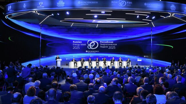 Россия занимает 17 процентов мирового рынка энергоресурсов, заявил Новак