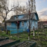 Адвокат Кудерко рассказала, как избежать штрафов за посадку деревьев на дачном участке