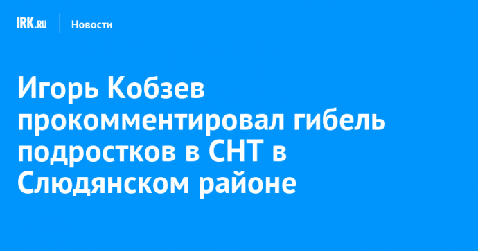 Игорь Кобзев прокомментировал гибель подростков в СНТ в Слюдянском районе