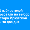 21,93% избирателей проголосовали на выборах губернатора Иркутской области за два дня