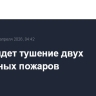 В ЕАО идет тушение двух природных пожаров