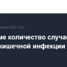 В Муроме количество случаев острой кишечной инфекции выросло до 677