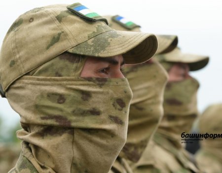 Участникам СВО напомнили о мерах поддержки в сфере высшего образования
