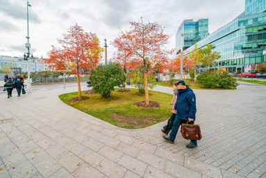 На Трубной площади высадили новые деревья и создали композиции из многолетних и хвойных растений