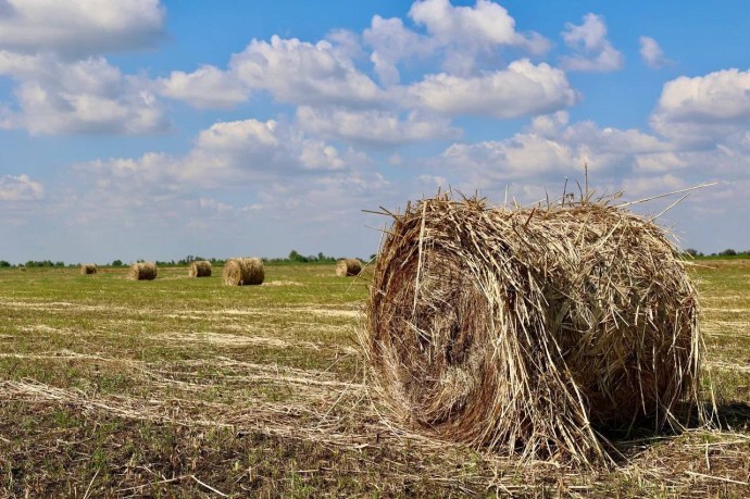 Зачем женщинам 28 сентября нужно поваляться в поле Зачем женщинам 28 сентября нужно поваляться в поле