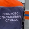 Пропавшую девочку в Бурятии обнаружили на ферме