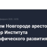 В Нижнем Новгороде арестован директор Института демографического развития