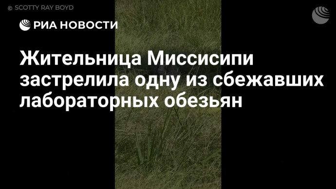 Жительница Миссисипи застрелила одну из сбежавших лабораторных обезьян
