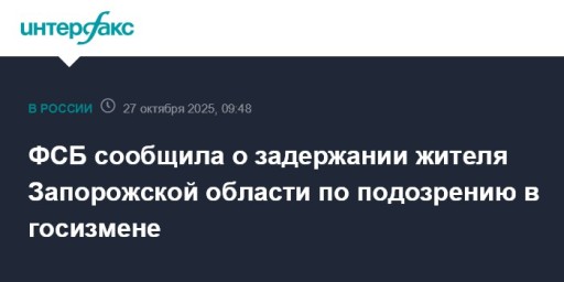 ФСБ сообщила о задержании жителя Запорожской области по подозрению в госизмене