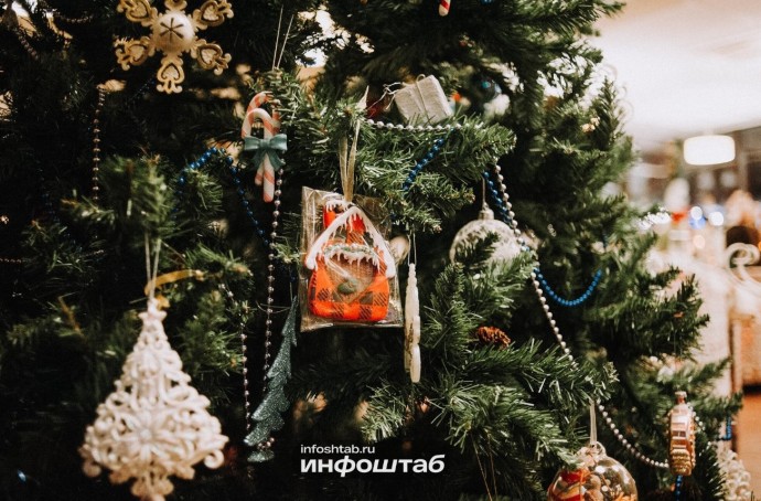 Новогодние ёлочные базары откроются в Астрахани 10 декабря: опубликован официальный список адресов