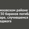 В Черемховском районе три коня и 30 баранов погибли на пожаре, случившемся из-за поджога