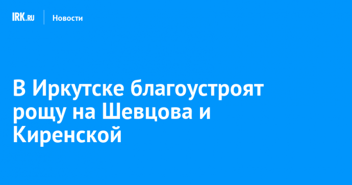 В Иркутске благоустроят рощу на Шевцова и Киренской