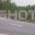 Сбитого под Москвой лосенка отвезли в центр реабилитации