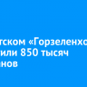 В иркутском «Горзеленхозе» вырастили 850 тысяч тюльпанов