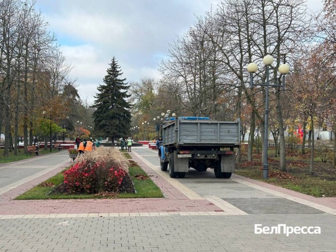 В Белгороде начали готовить клумбы и деревья к зиме (видео) В Белгороде начали готовить клумбы и деревья к зиме (видео)