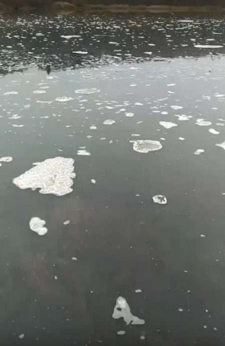 Жители Подосиновского района массово жалуются на загрязнение реки Юг