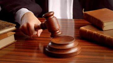 Суд защитил право на компенсацию за пострадавшую в драке собаку на самовыгуле