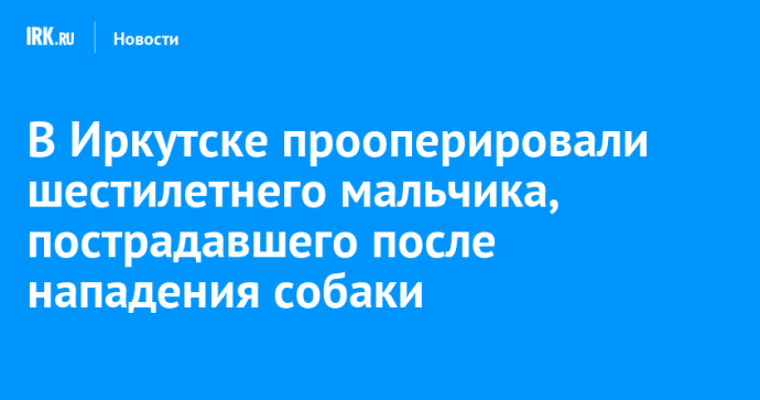 В Иркутске прооперировали шестилетнего мальчика, пострадавшего после нападения собаки