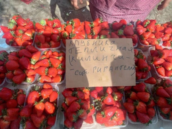Астраханские рынки завалили клубникой