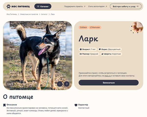 На mos.ru заработал сервис по выбору домашнего животного из приюта