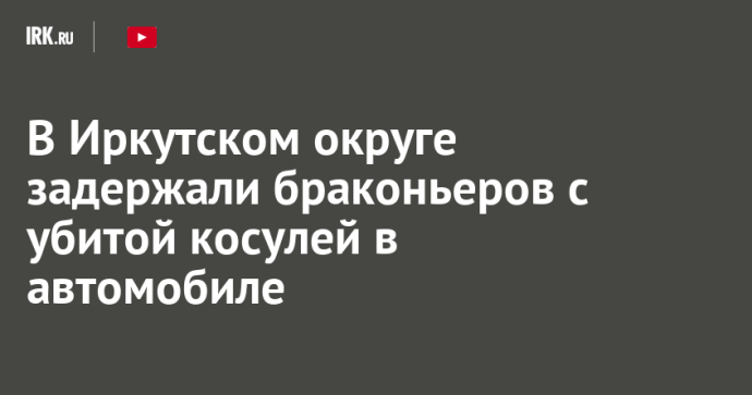 В Иркутском округе задержали браконьеров с убитой косулей в автомобиле В Иркутском округе задержали браконьеров с убитой косулей в автомобиле