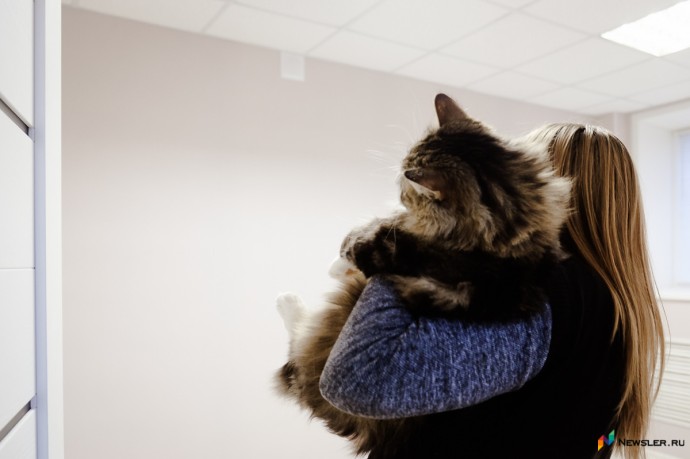 Половине семей в Кировской области доступна аренда квартиры